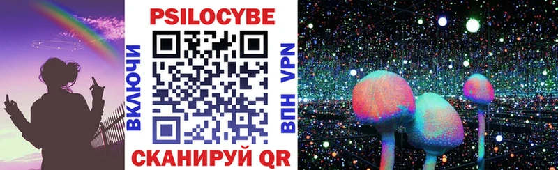 Псилоцибиновые грибы Psilocybe  Окуловка 